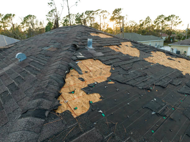 Best Flat Roofing  in Lake Barrington, IL